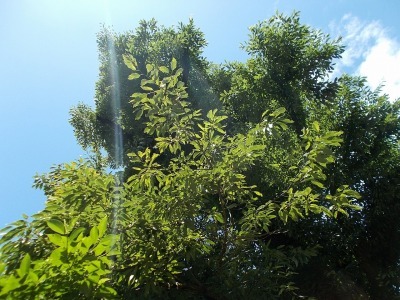 f0308898_19430940.jpg