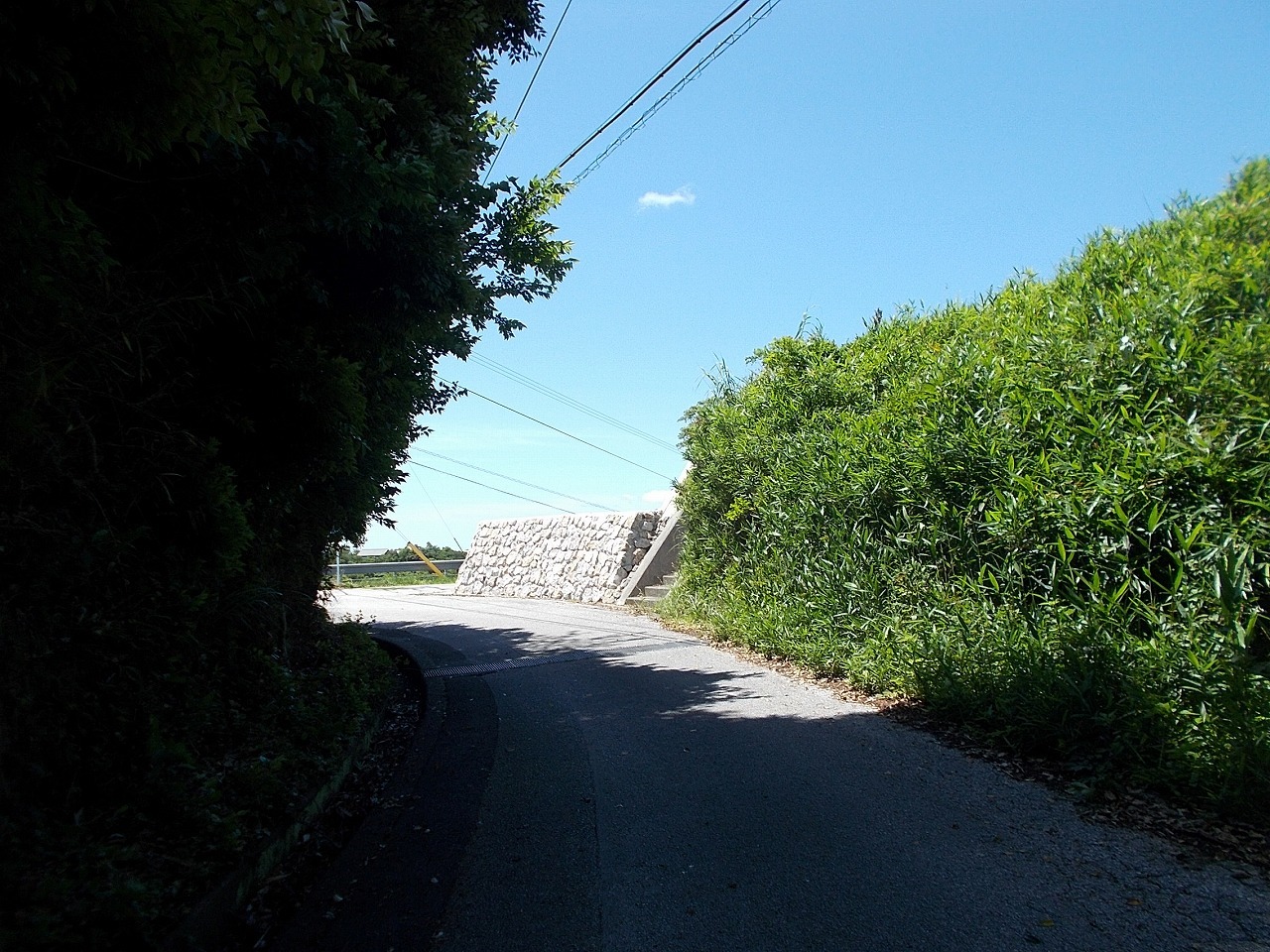 f0308898_19431074.jpg