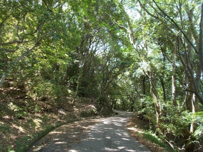 f0308898_19431075.jpg