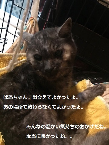 ウドばあちゃん退院!_f0242002_18501696.jpg