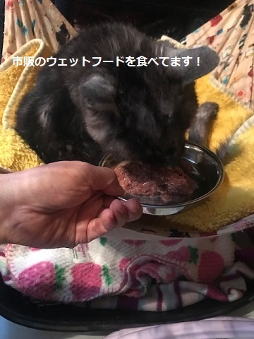 ウドばあちゃん退院!_f0242002_18514382.jpg