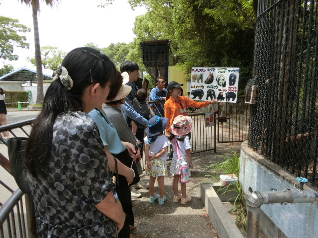 ツキノワグマ de 有田焼!_c0290504_16493567.jpg