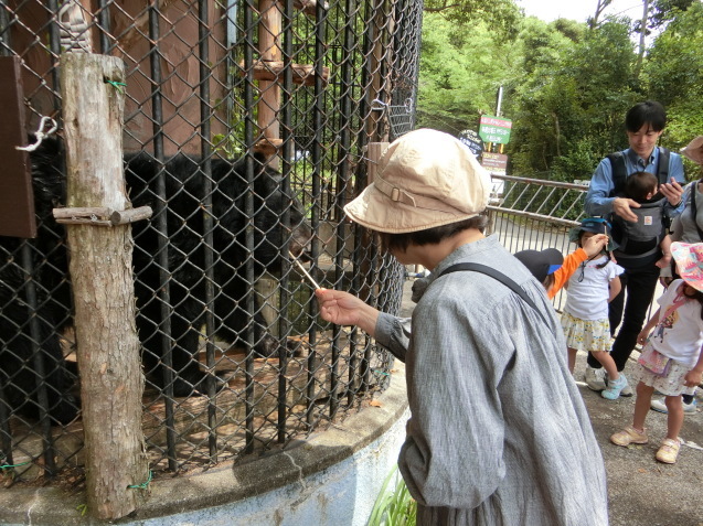ツキノワグマ de 有田焼!_c0290504_16514181.jpg