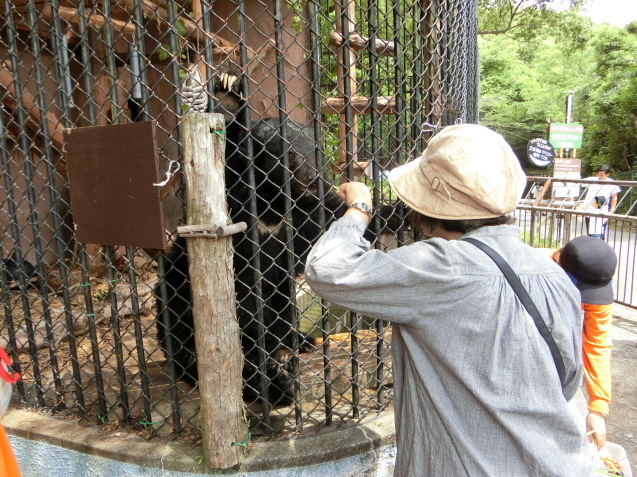 ツキノワグマ de 有田焼！_c0290504_16521605.jpg