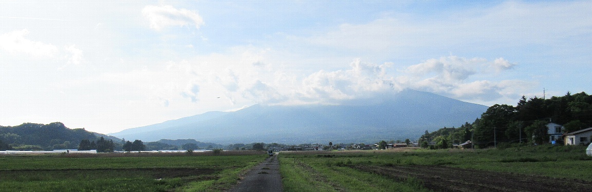 a0138609_07395520.jpg
