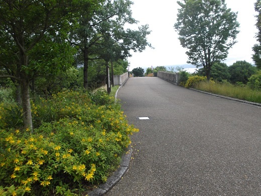 馬見丘陵 菖蒲とあじさい_d0288411_09280283.jpg