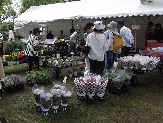 馬見丘陵 菖蒲とあじさい_d0288411_09320841.jpg