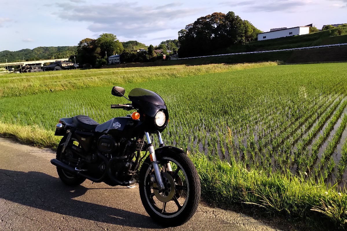 天気も不安定ですが朝..._a0159215_00134418.jpg