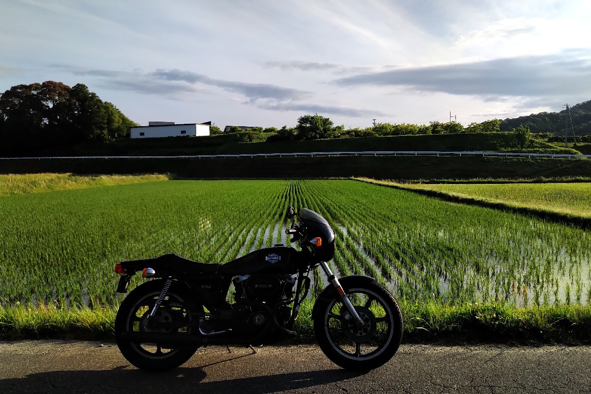 天気も不安定ですが朝..._a0159215_00134495.jpg