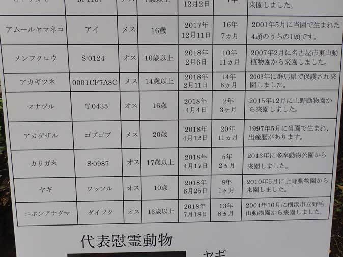 井の頭自然文化園 動物慰霊祭( September 2018)_b0355317_12285934.jpg