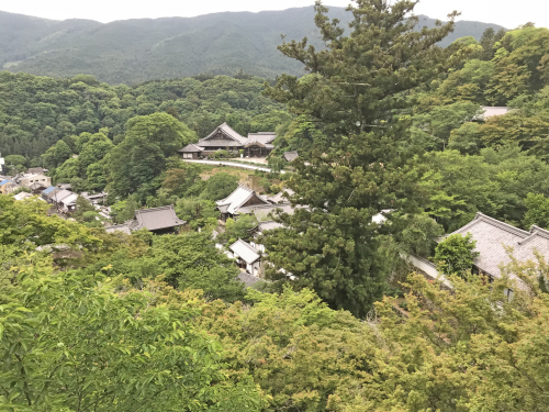 花の御寺　長谷寺へ_a0322824_06551937.jpg