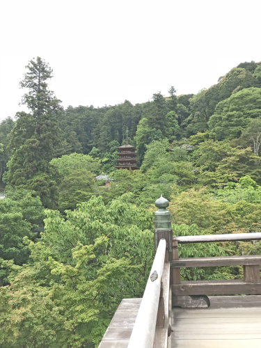 花の御寺　長谷寺へ_a0322824_06552839.jpg