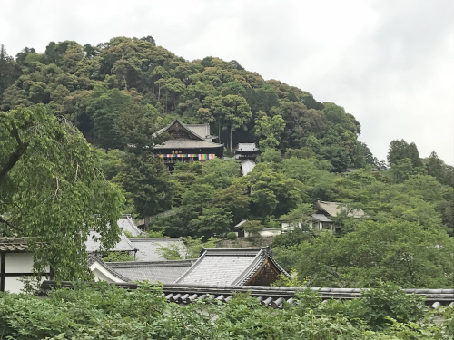 花の御寺　長谷寺へ_a0322824_07182200.jpg