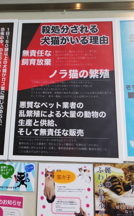 にゃっ展♪_d0233224_01582688.jpg