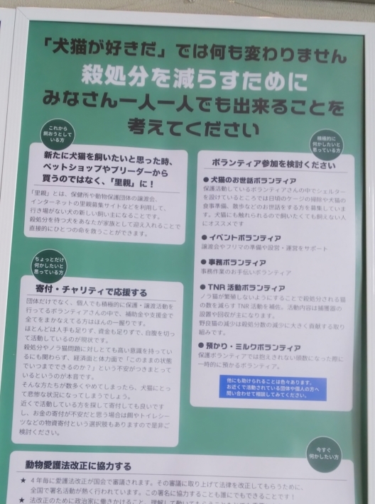 にゃっ展♪_d0233224_01590835.jpg
