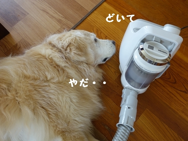 b0119525_19353757.jpg