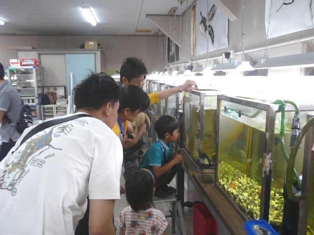 f0177529_21152464.jpg