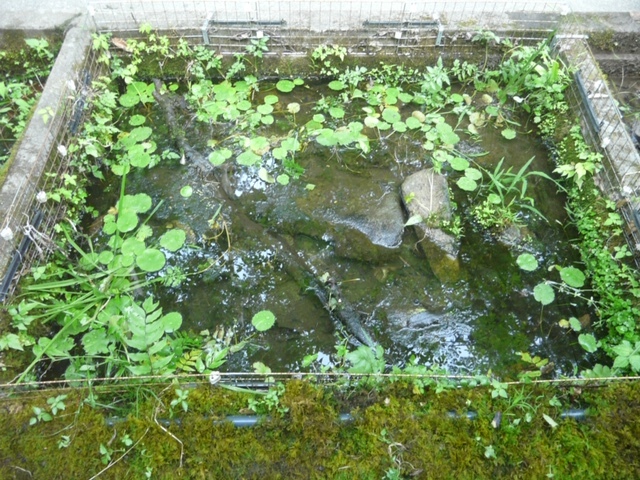 f0177529_21183393.jpg
