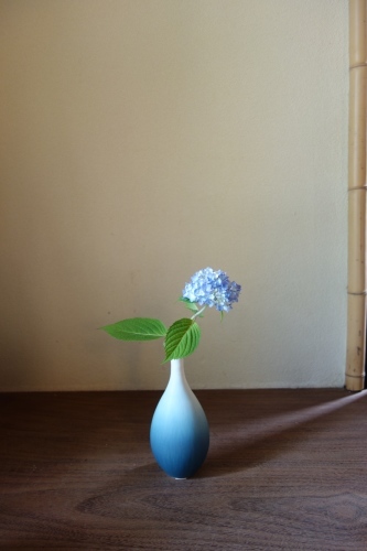 初夏の花_a0197730_15055715.jpg