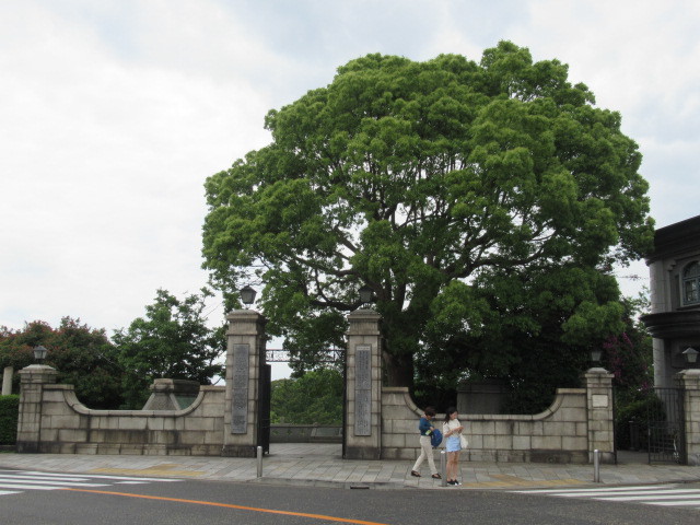 c0217931_14325211.jpg