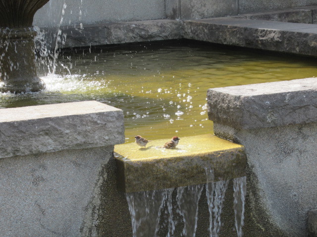 c0217931_14370556.jpg