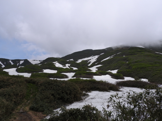 f0118332_21311517.jpg