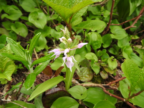 f0118332_21323223.jpg