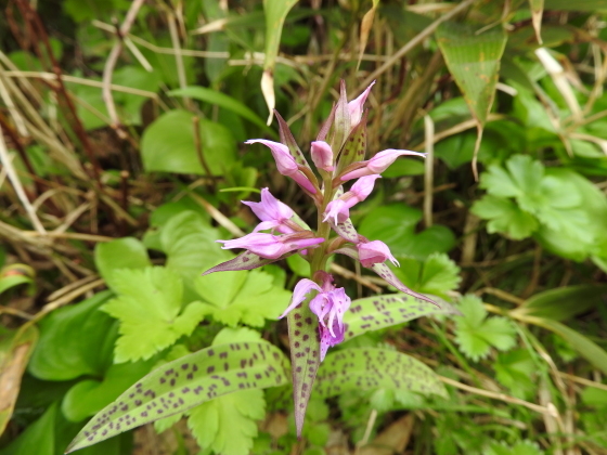 f0118332_21505681.jpg