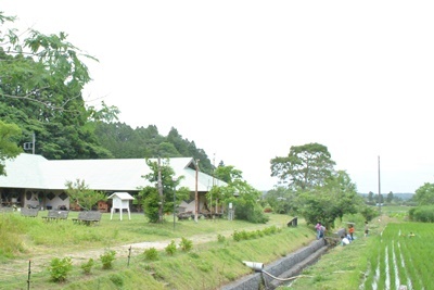a0123836_13372727.jpg