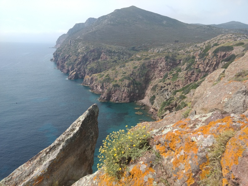 f0234936_6105115.jpg