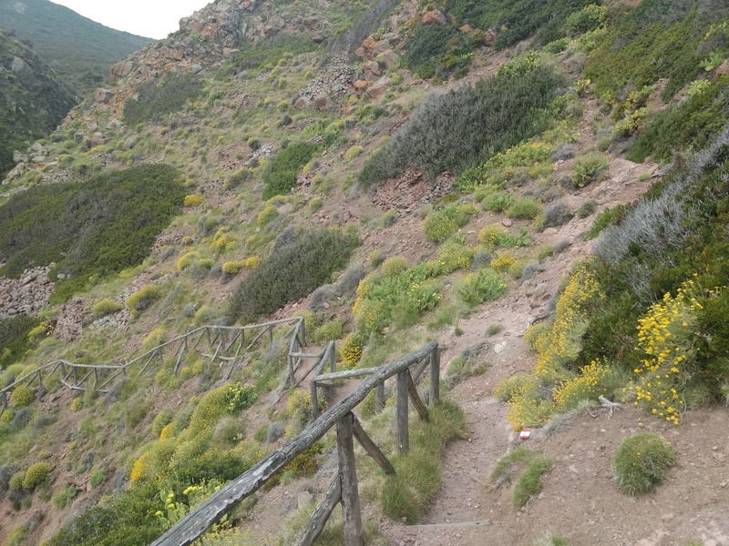 f0234936_6204884.jpg