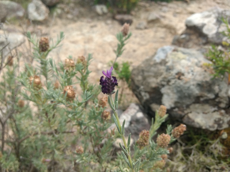 f0234936_639839.jpg