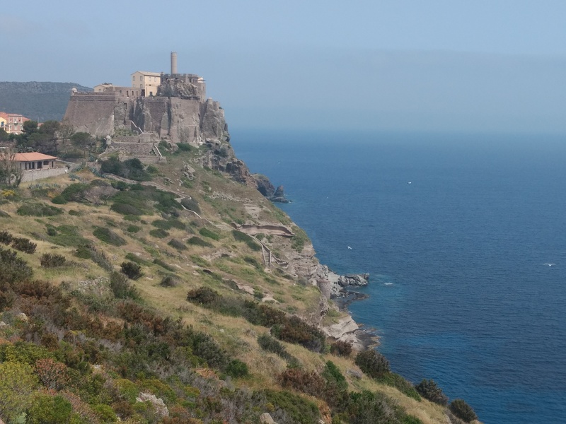 f0234936_66954.jpg