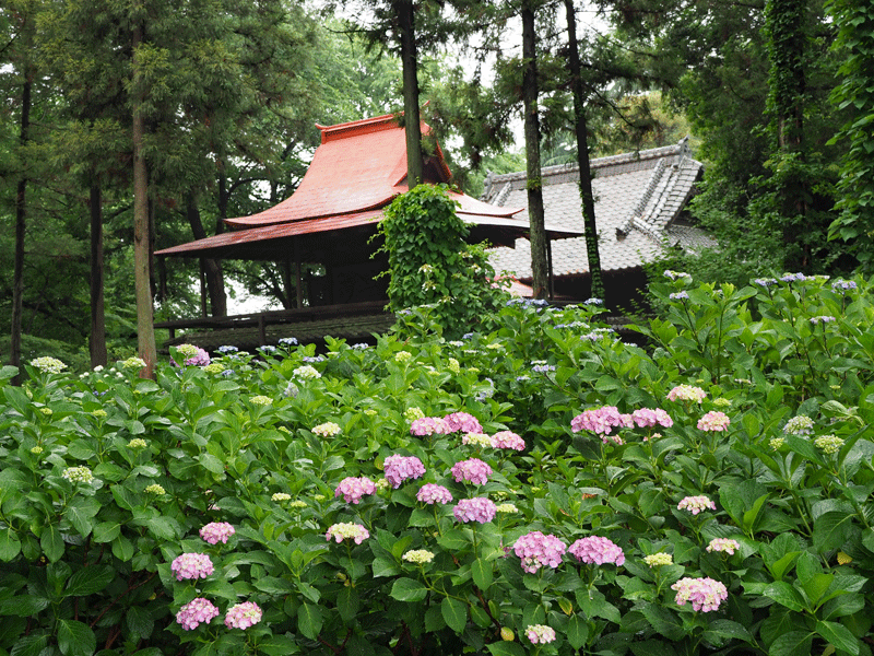 d0290240_19353782.gif
