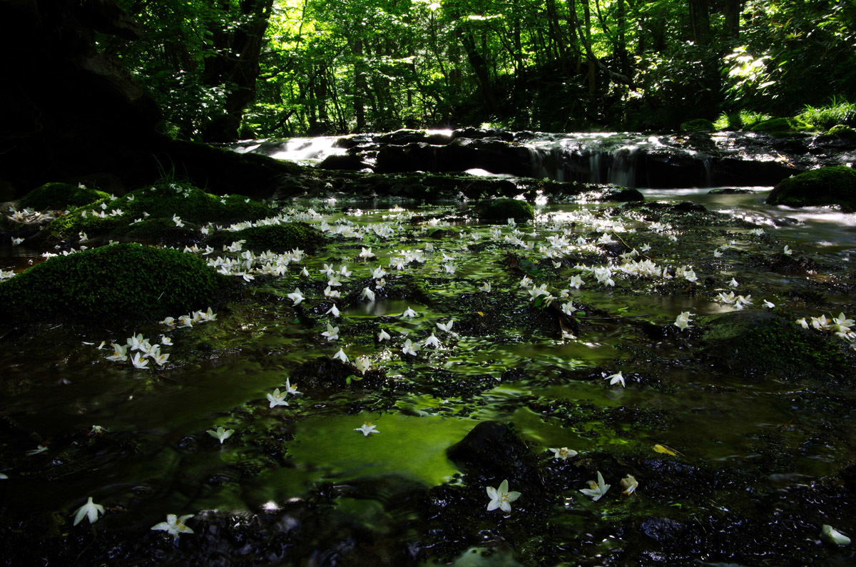 c0077847_21490856.jpg
