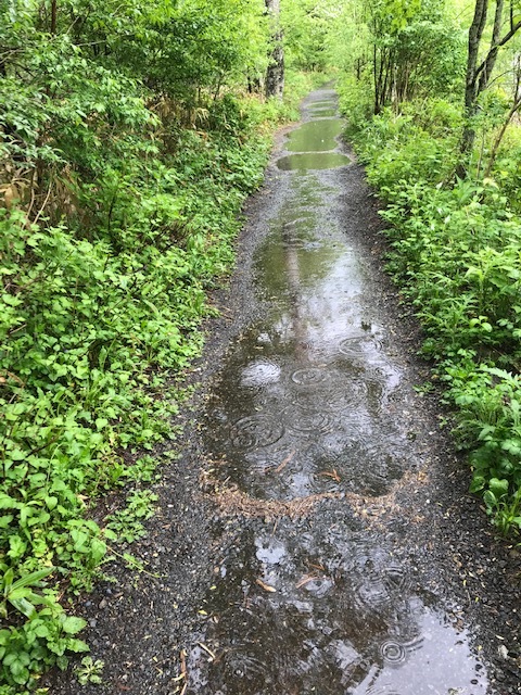 c0343447_20573316.jpg