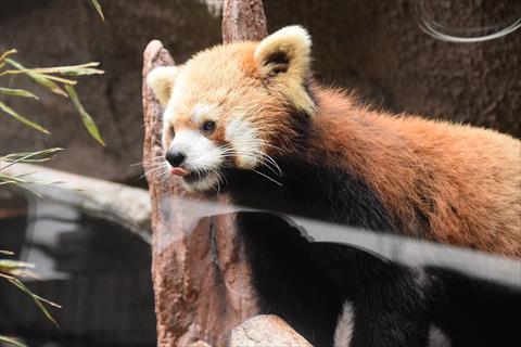 b0338756_13384651.jpg
