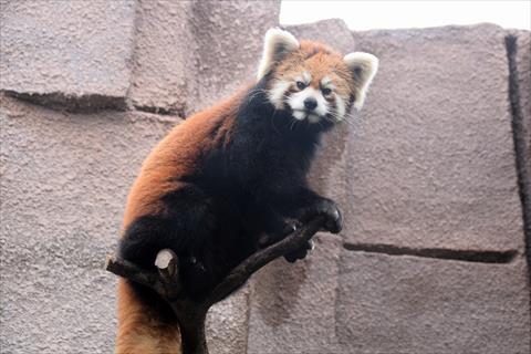 b0338756_13391682.jpg