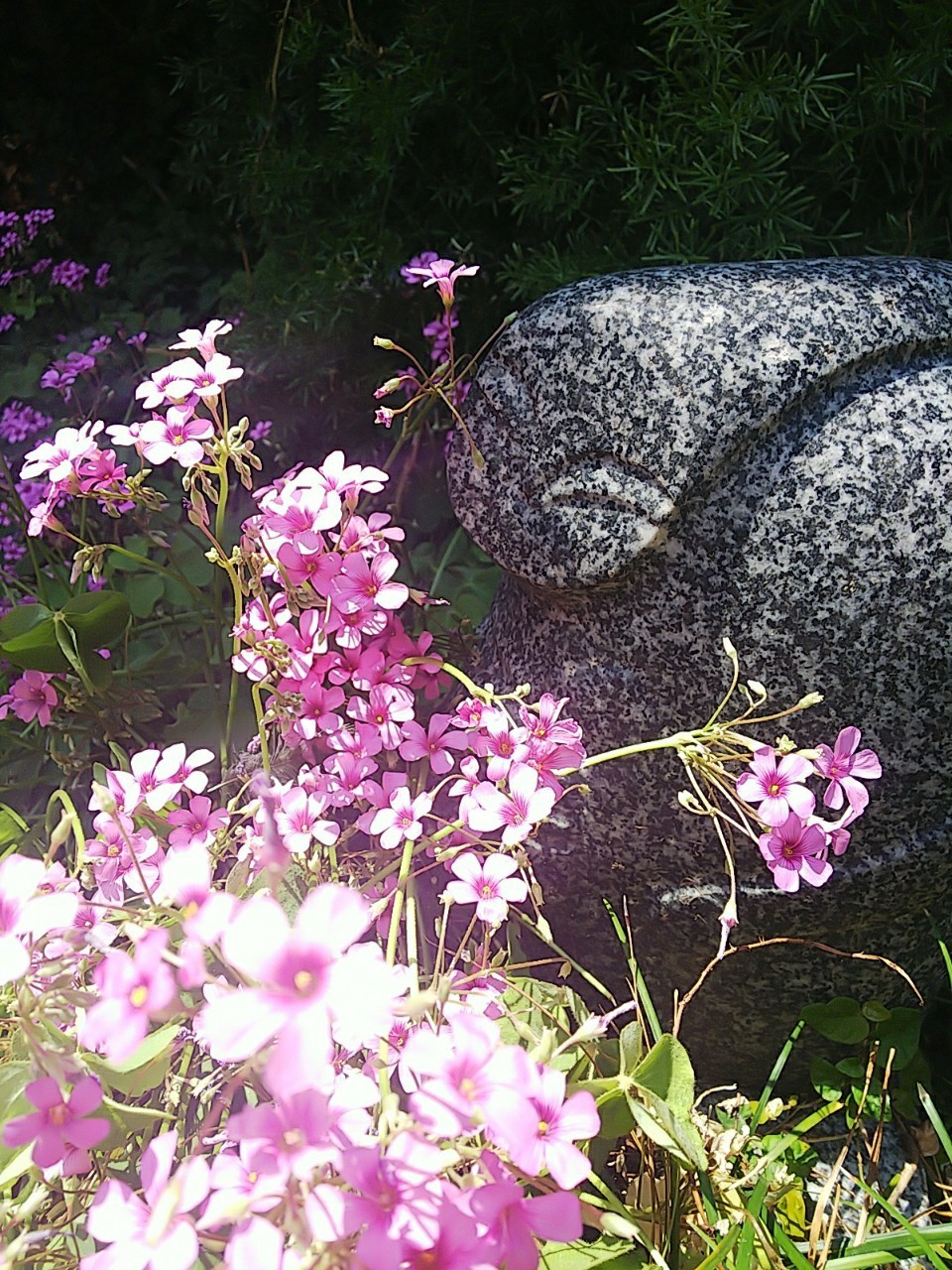 b0370356_07252493.jpg