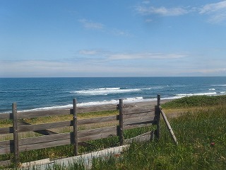 e0004756_20222479.jpg
