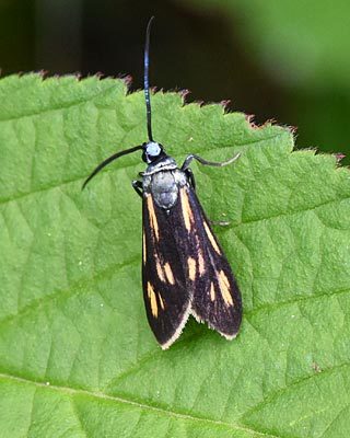 e0035757_21314432.jpg