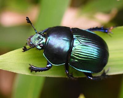 e0035757_21322501.jpg