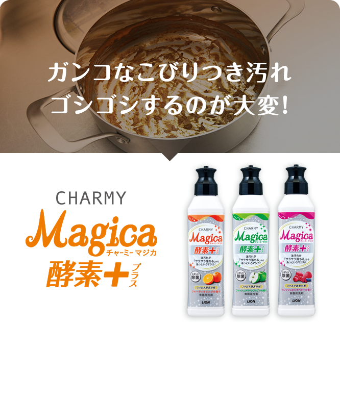 a0307060_15134016.png