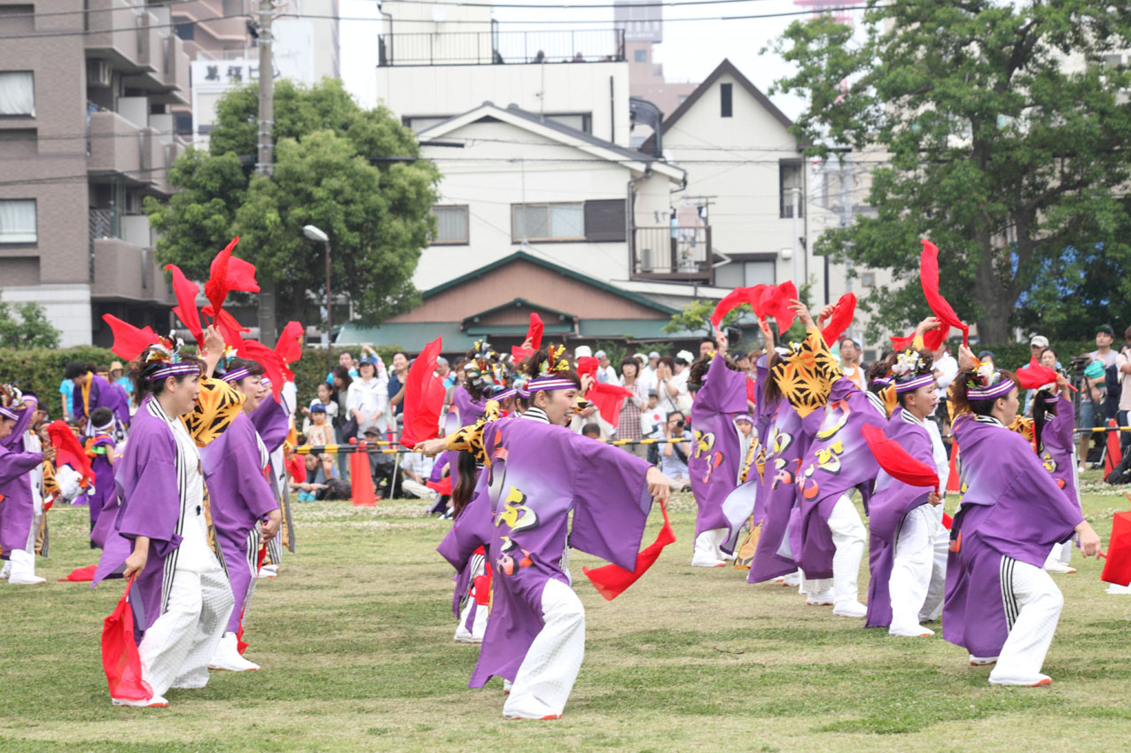 第16回湘南よさこい祭り2019【７】_c0299360_2134517.jpg