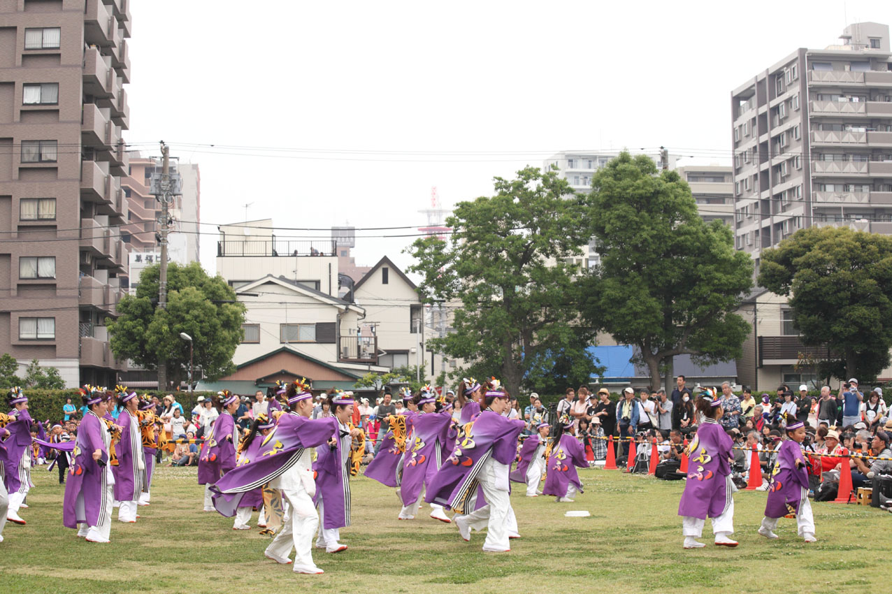 第16回湘南よさこい祭り2019【７】_c0299360_283639.jpg