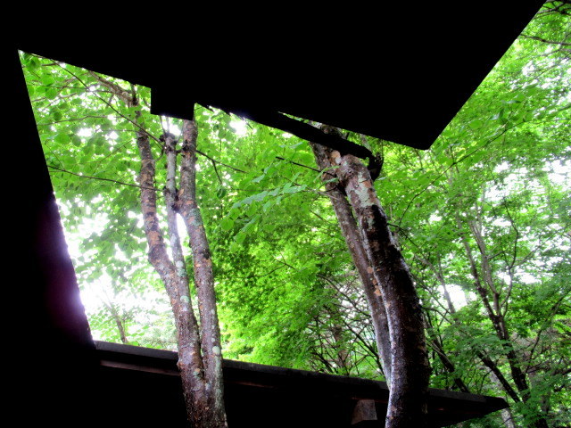 f0236260_19560130.jpg