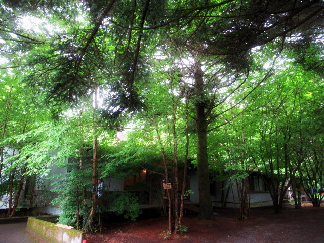 f0236260_19593727.jpg