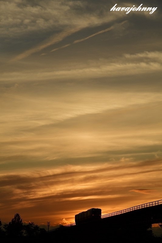 c0173762_17462095.jpg