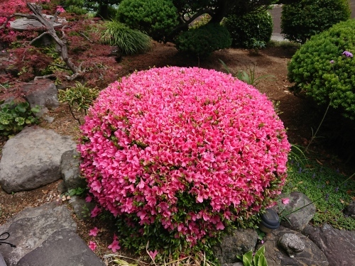c0100865_07282204.jpg