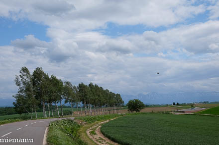 d0340565_20011570.jpg